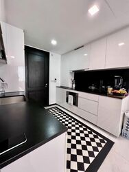 1919 (D9), Apartment #558795281